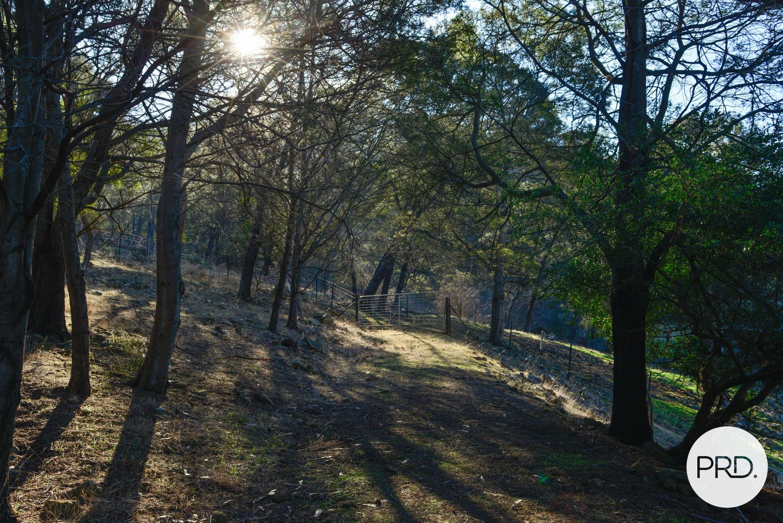 634 Boyer Road DROMEDARY 18