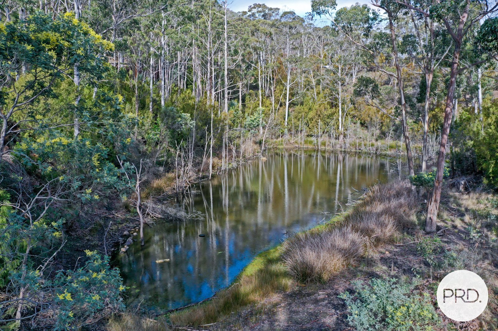 730 Molesworth Road MOLESWORTH 1