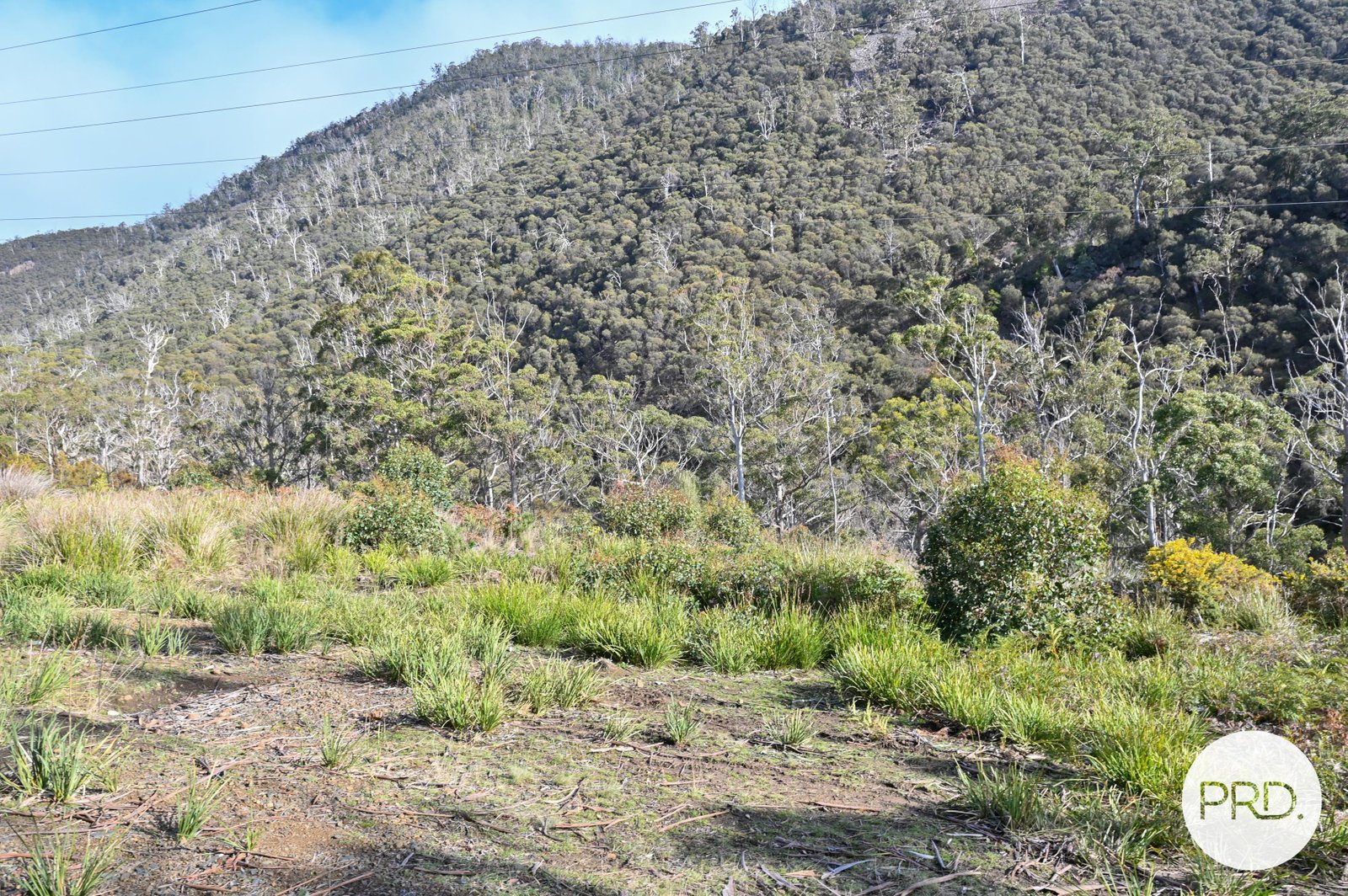 730 Molesworth Road MOLESWORTH 5