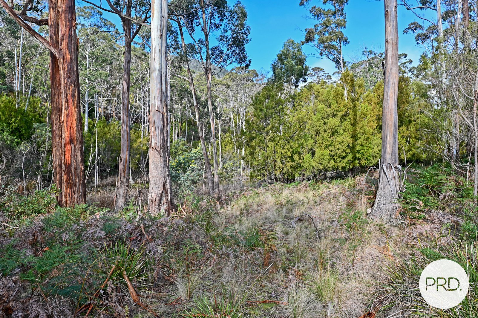 730 Molesworth Road MOLESWORTH 11
