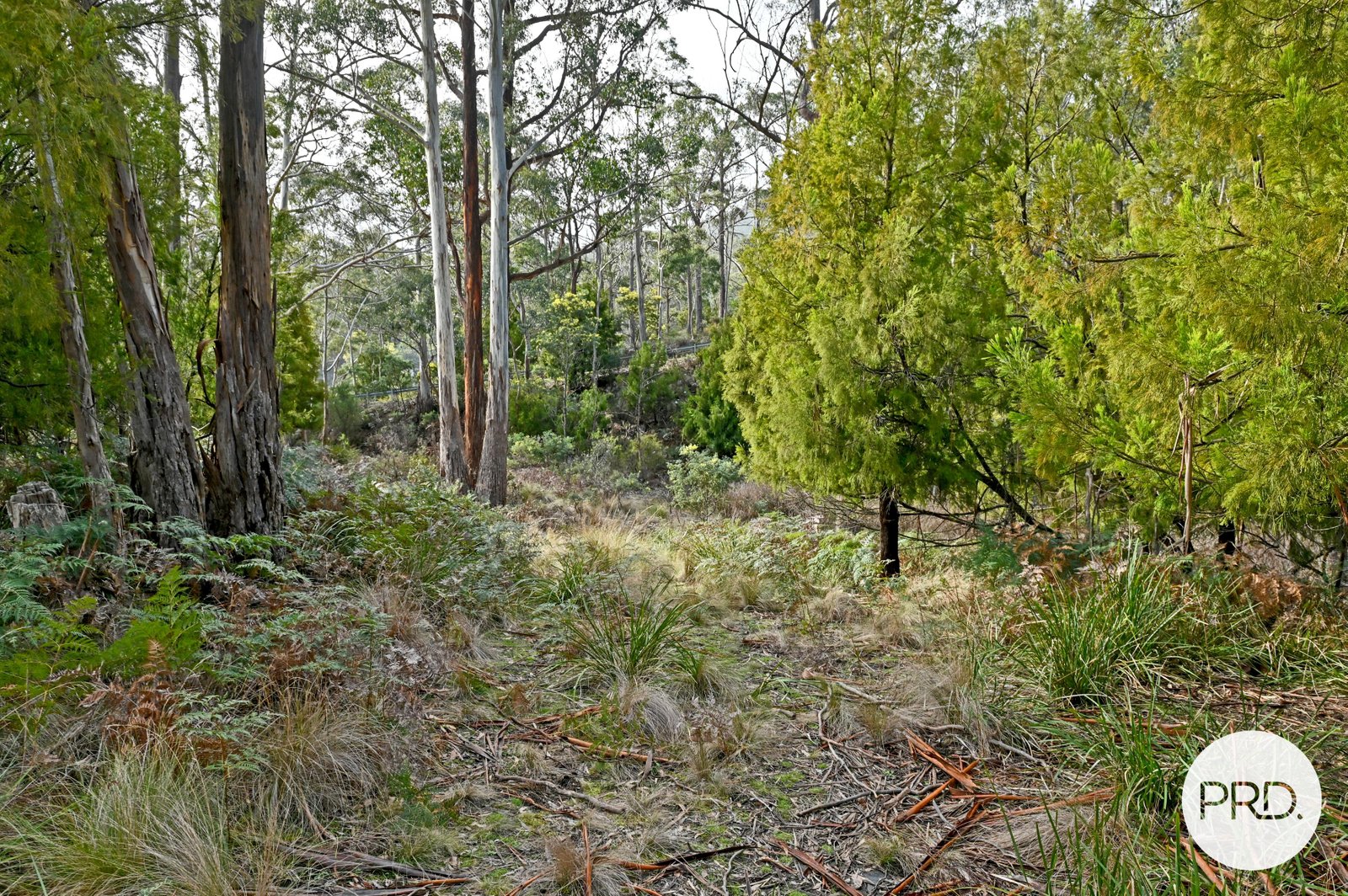 730 Molesworth Road MOLESWORTH 12