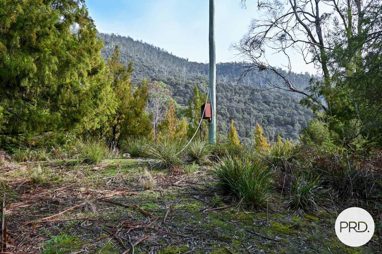 730 Molesworth Road MOLESWORTH 14