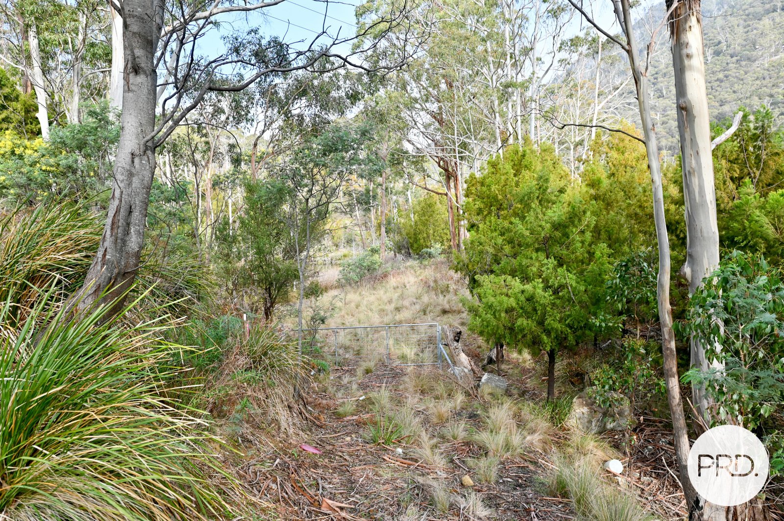 730 Molesworth Road MOLESWORTH 19