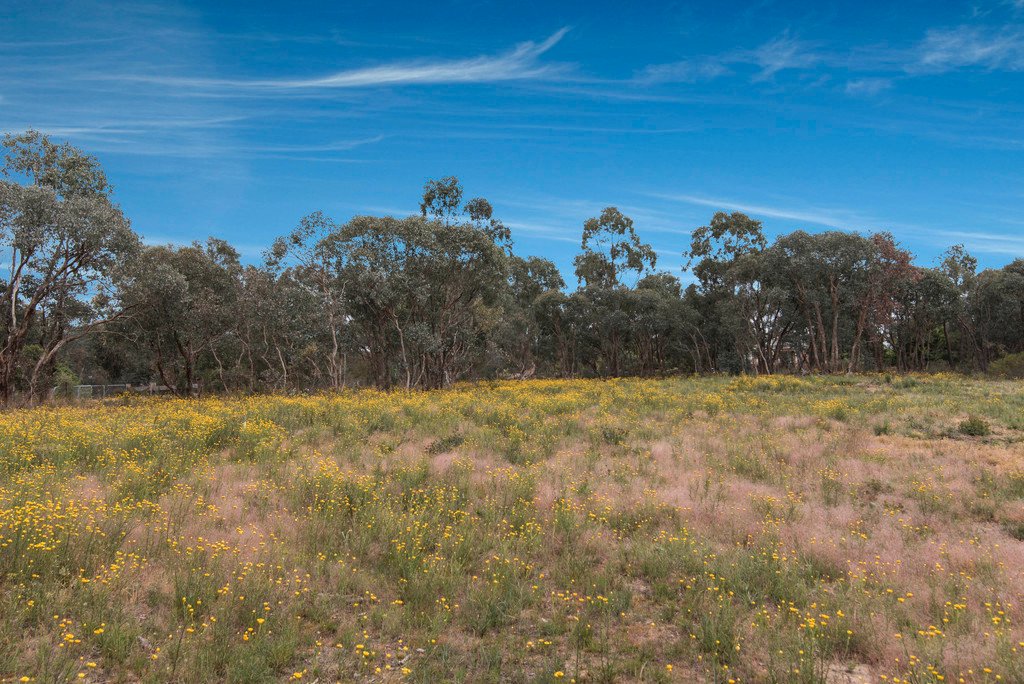 Lot 2, 76 Sinclairs Road,  STRATHFIELDSAYE 5