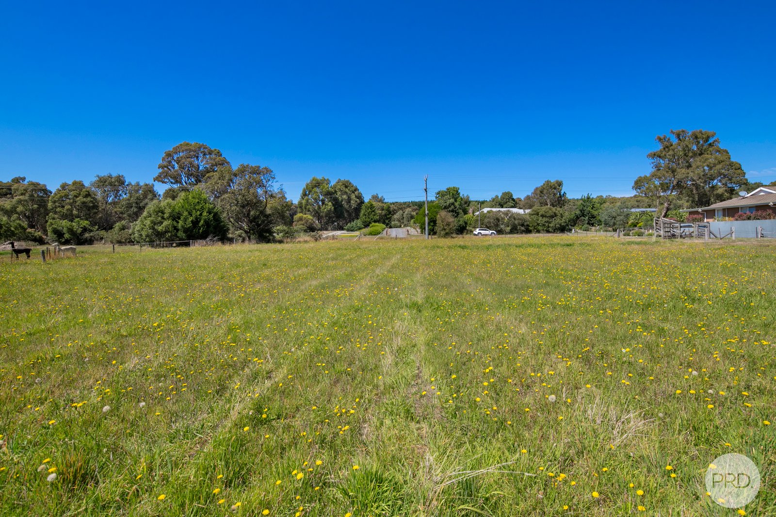 85 Bald Hills Road CRESWICK 5