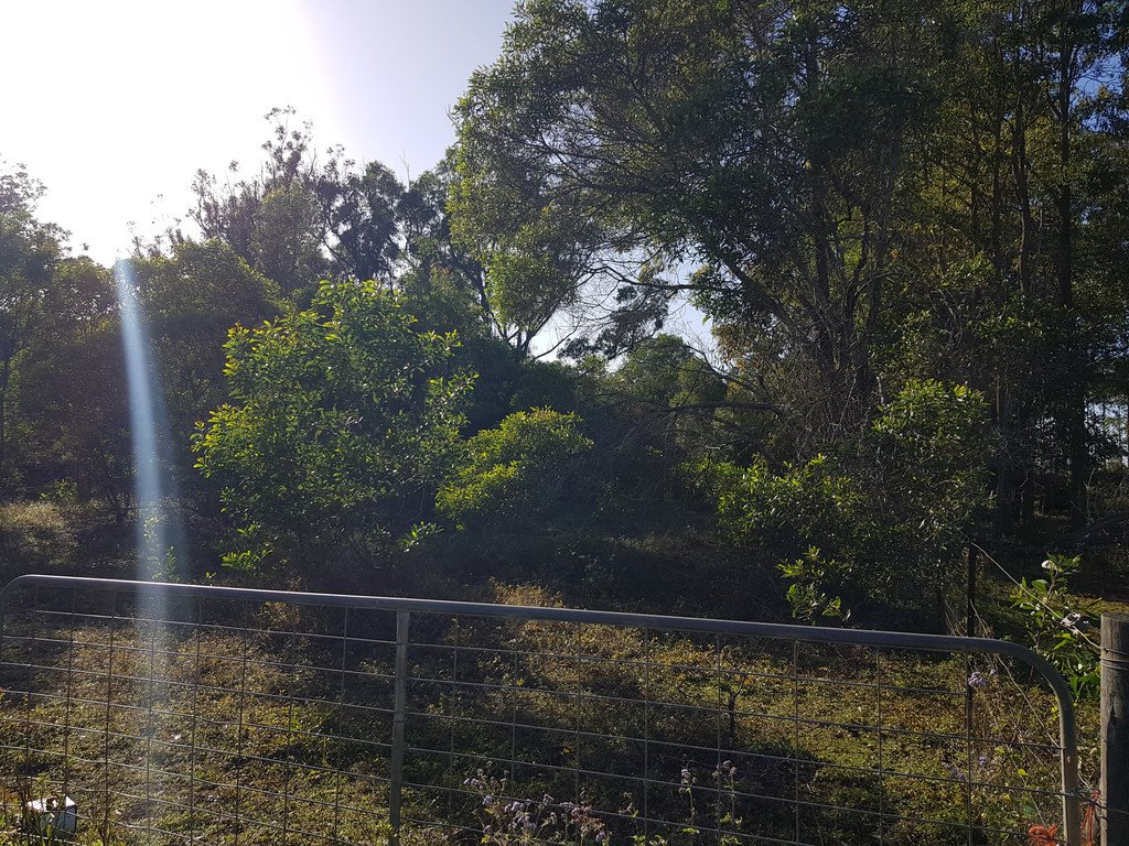 Lot 2 Ashleigh Court TINANA SOUTH 5