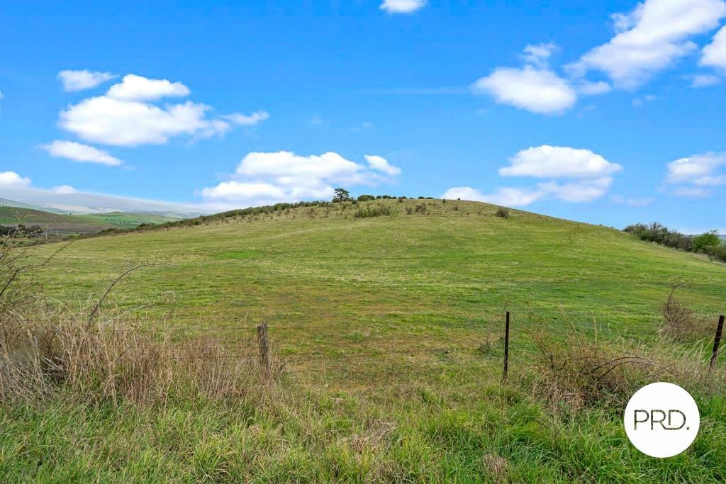 Lot 2 Cumberland Street HAMILTON 12