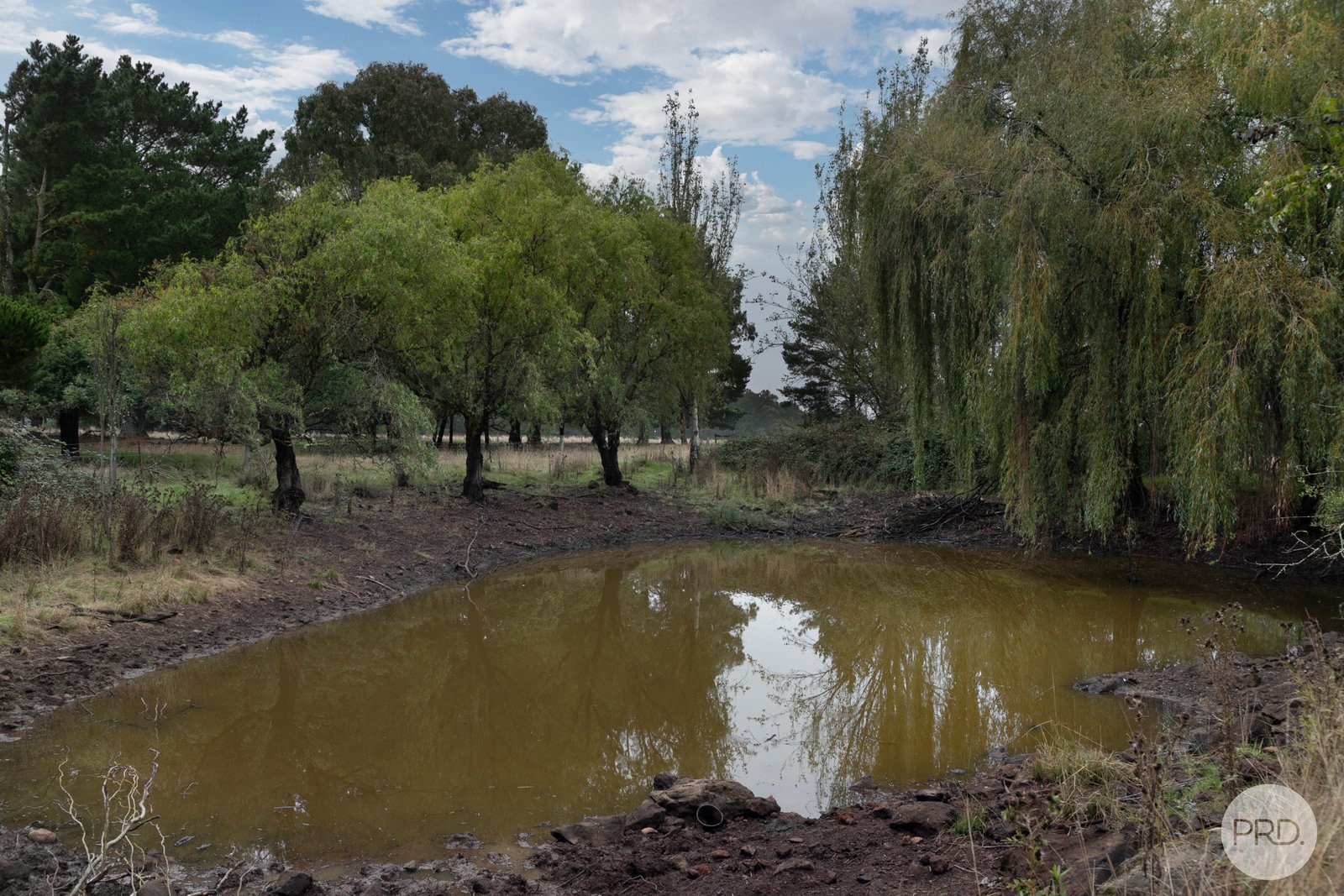  Egans Road MOUNT EGERTON 8