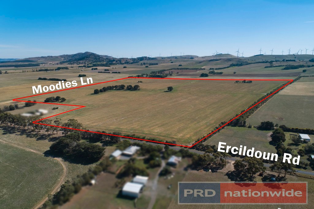 Lot 2 Ercildoun Road ERCILDOUNE 1