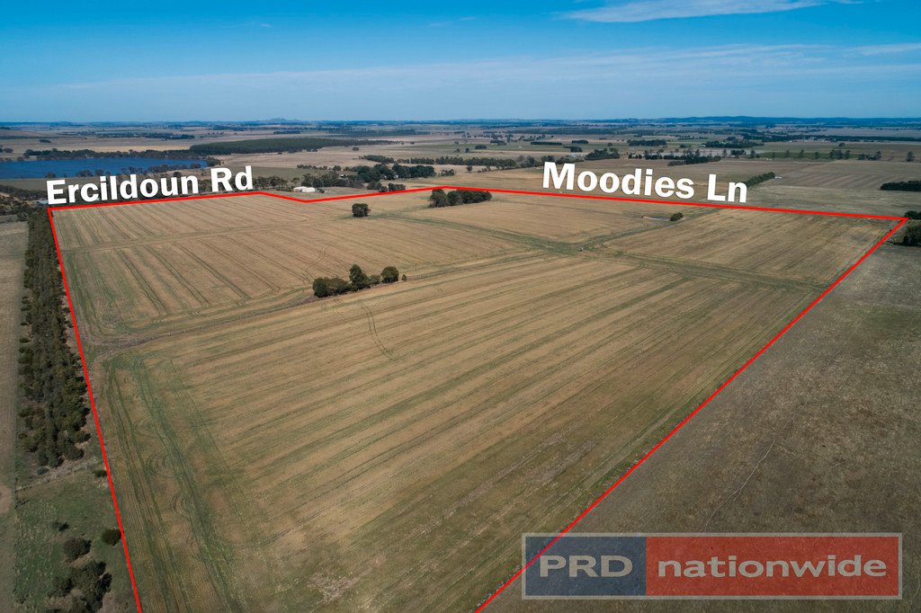 Lot 2 Ercildoun Road ERCILDOUNE 14