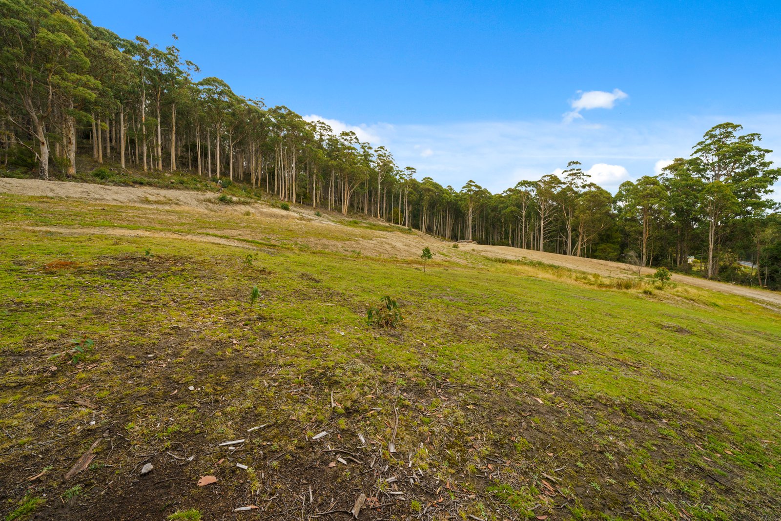 Lot 2 Gordon River Road NATIONAL PARK 5