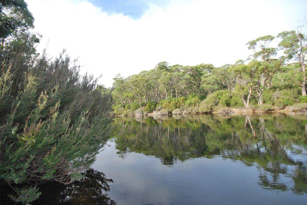 Lot 2 Lyell Highway DERWENT BRIDGE 1