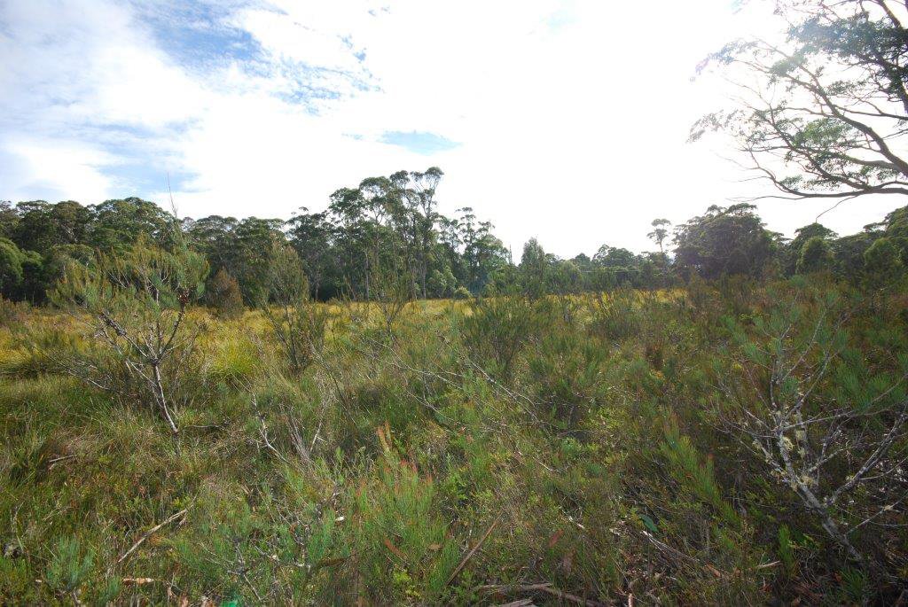Lot 2 Lyell Highway DERWENT BRIDGE 5