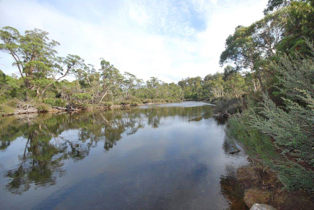 Lot 2 Lyell Highway DERWENT BRIDGE 6