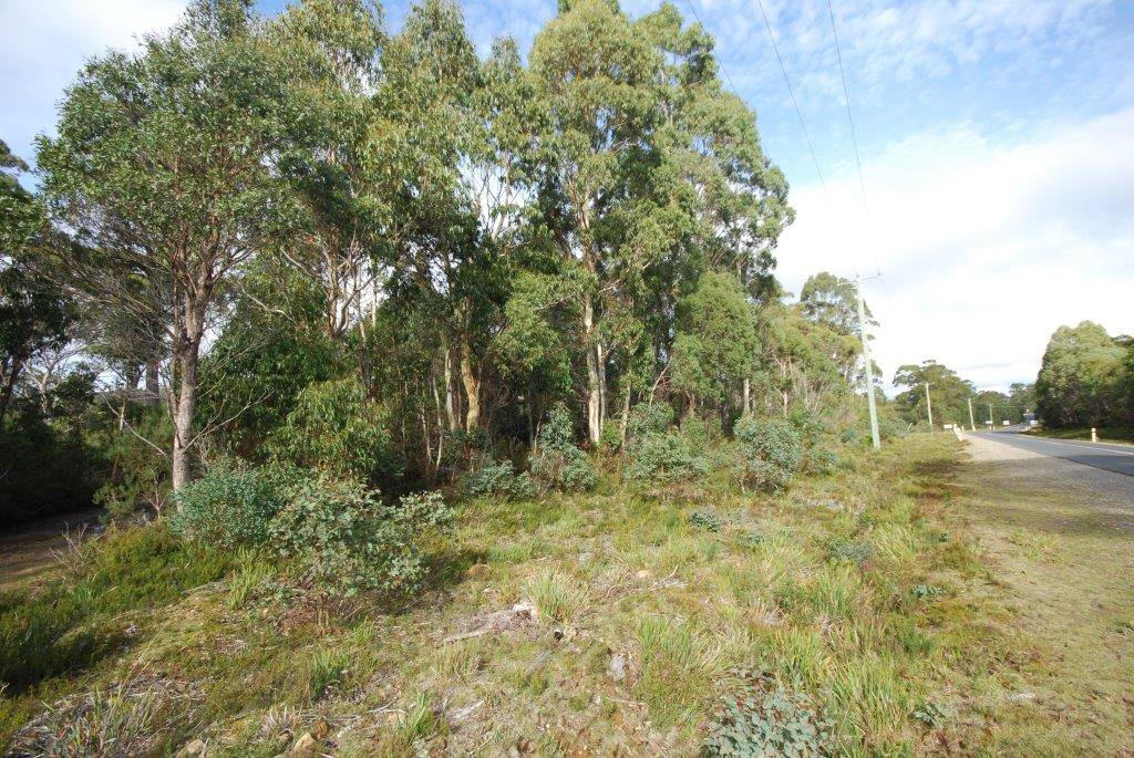 Lot 2 Lyell Highway DERWENT BRIDGE 7