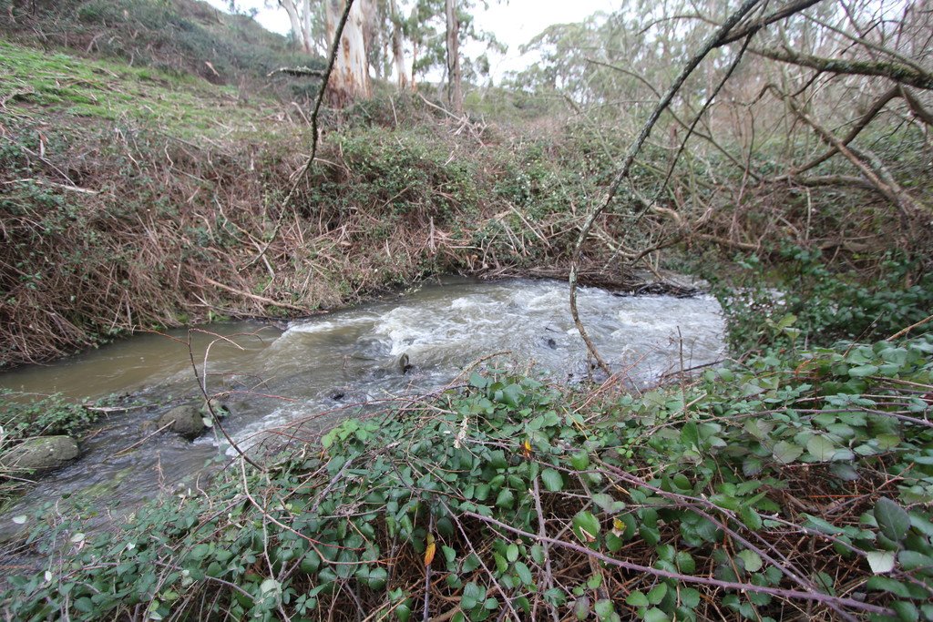 Lot 2 McGuigans Road MILLBROOK 9