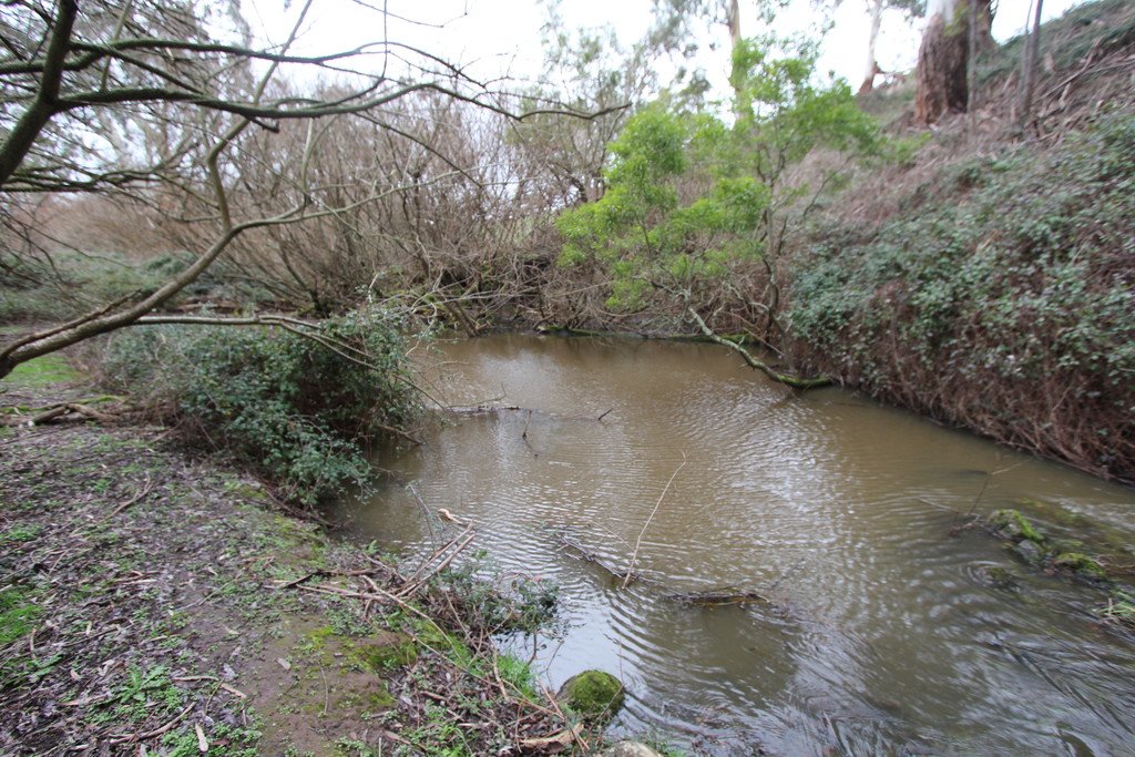 Lot 2 McGuigans Road MILLBROOK 10