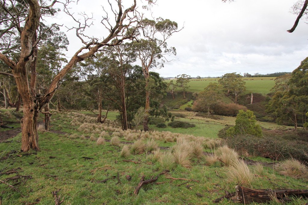 Lot 2 McGuigans Road MILLBROOK 11