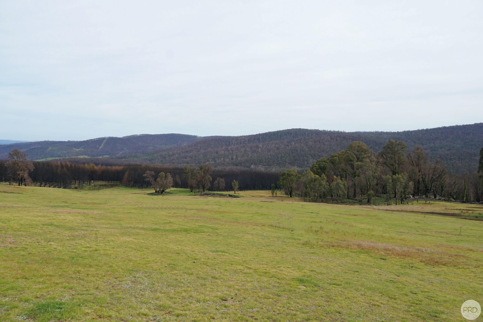 Lot 2 MOODYS HILL Road TUMBARUMBA 4
