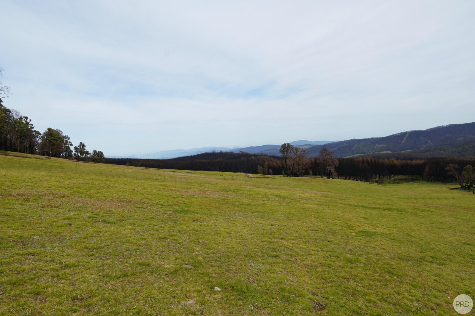 Lot 2 MOODYS HILL Road TUMBARUMBA 5