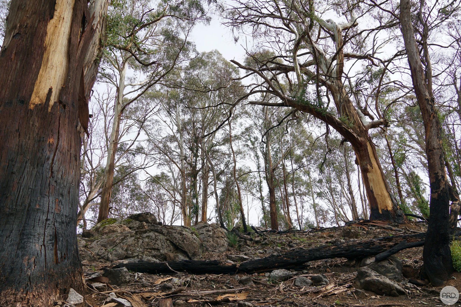 Lot 2 MOODYS HILL Road TUMBARUMBA 7