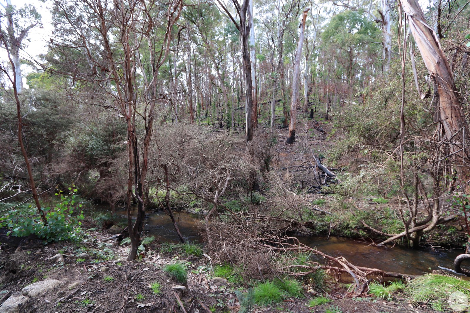 Lot 2 MOODYS HILL Road TUMBARUMBA 9