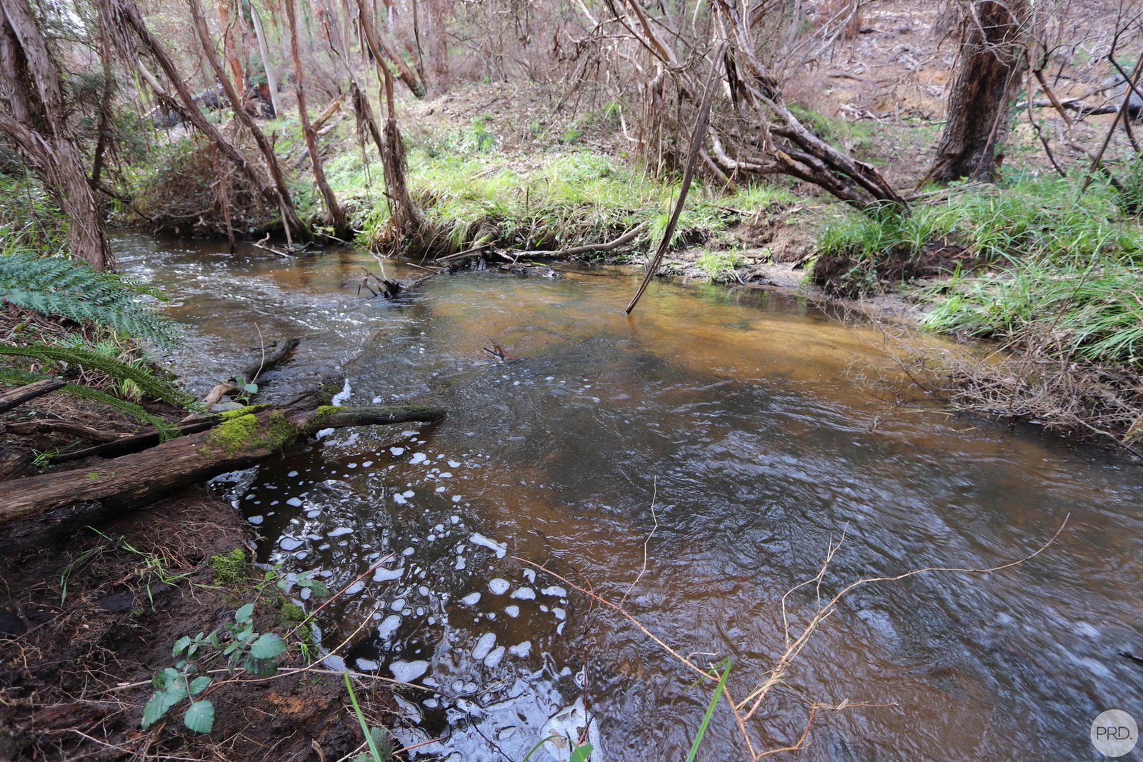 Lot 2 MOODYS HILL Road TUMBARUMBA 10