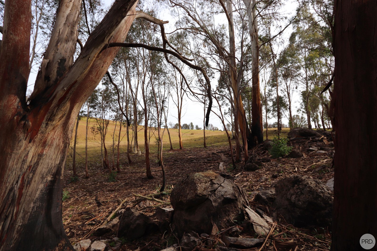 Lot 2 MOODYS HILL Road TUMBARUMBA 11