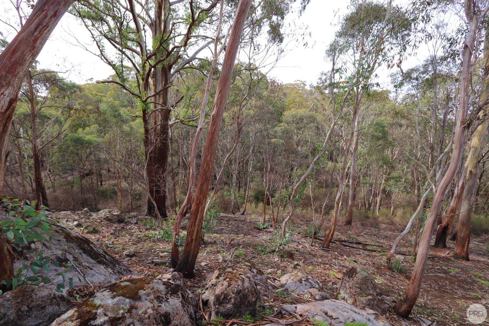 Lot 2 MOODYS HILL Road TUMBARUMBA 12