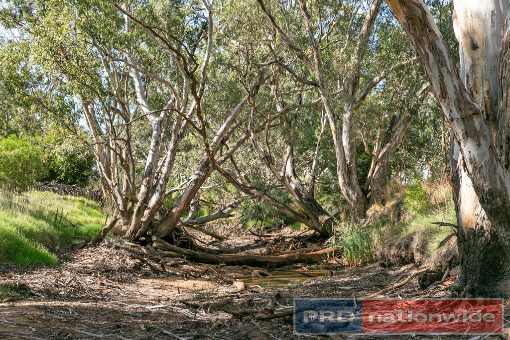 Lot 2 North Street AVOCA 11
