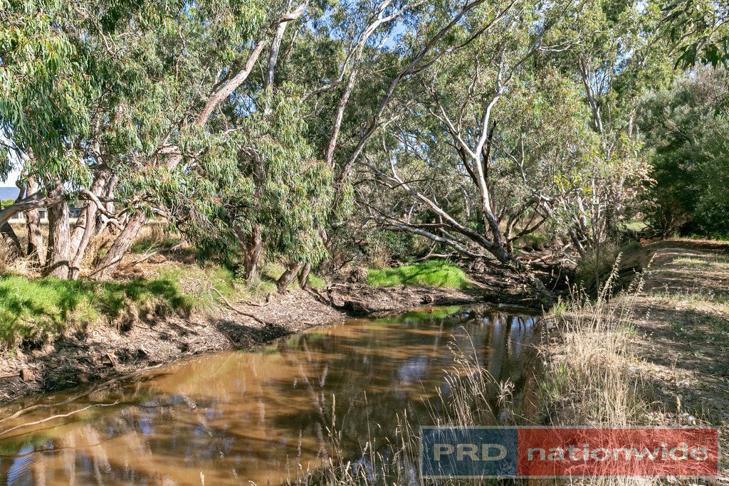 Lot 2 North Street AVOCA 12