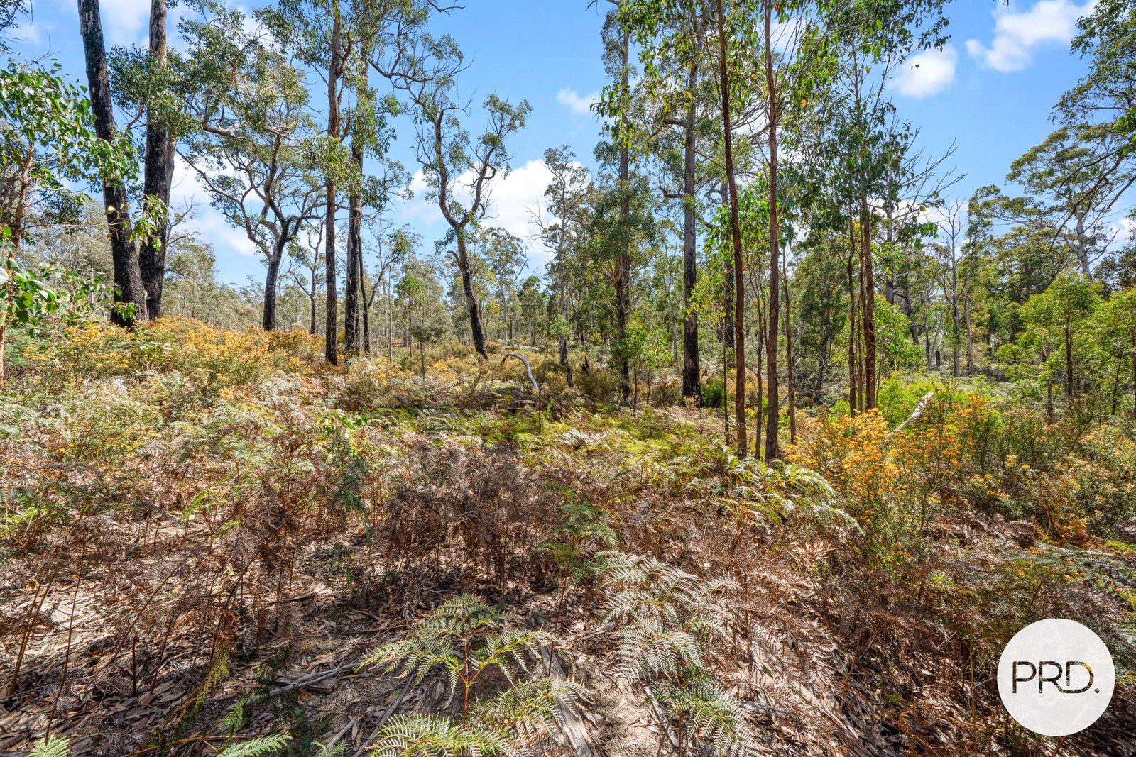  Pearces Road STRICKLAND 4