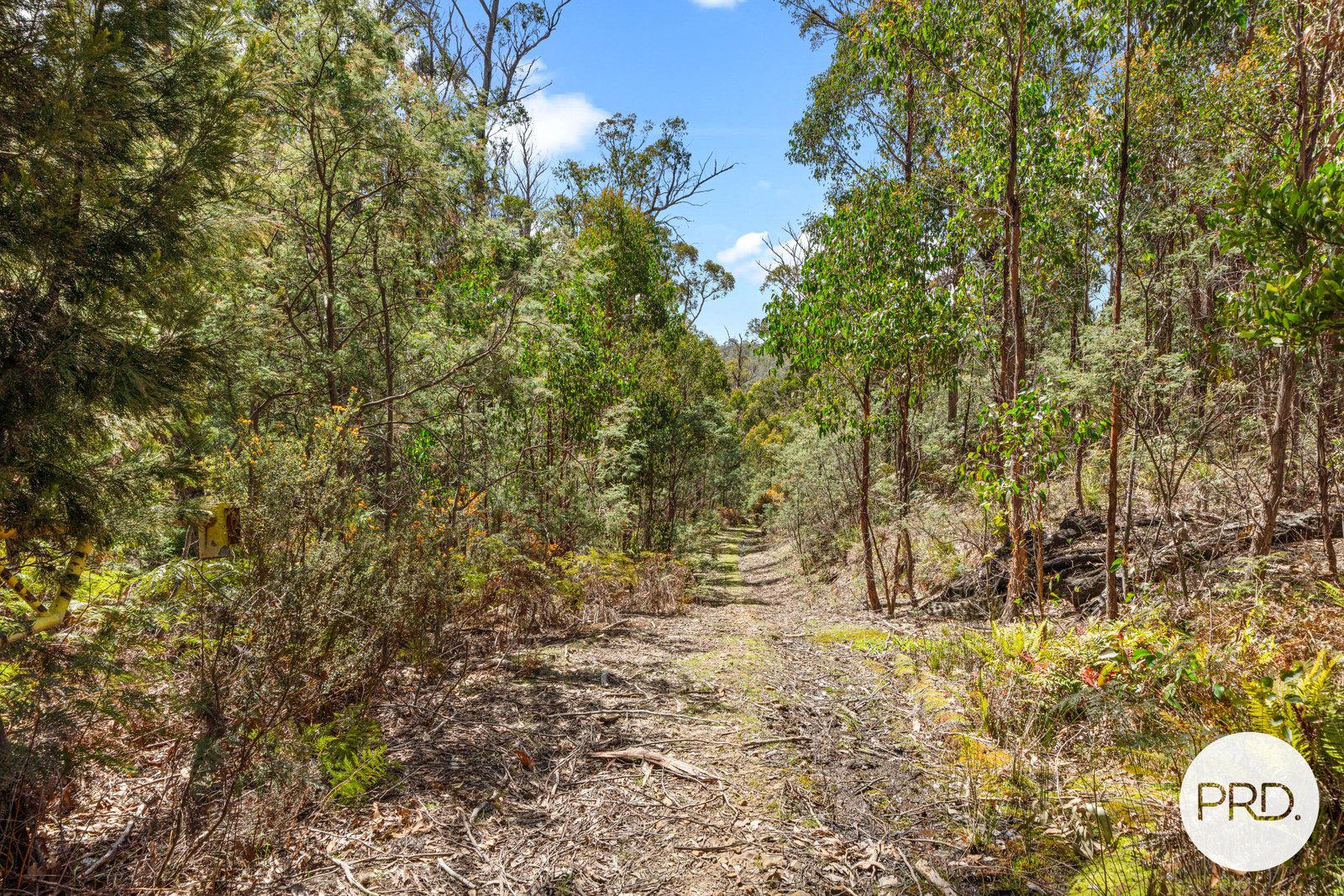  Pearces Road STRICKLAND 6