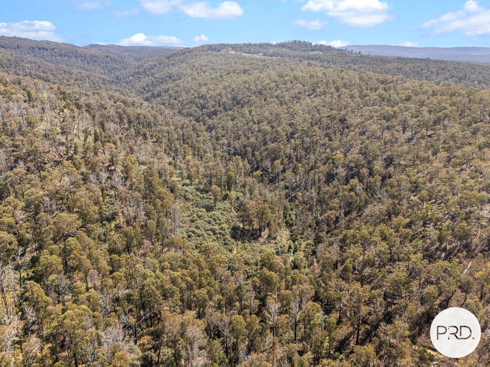  Pearces Road STRICKLAND 7