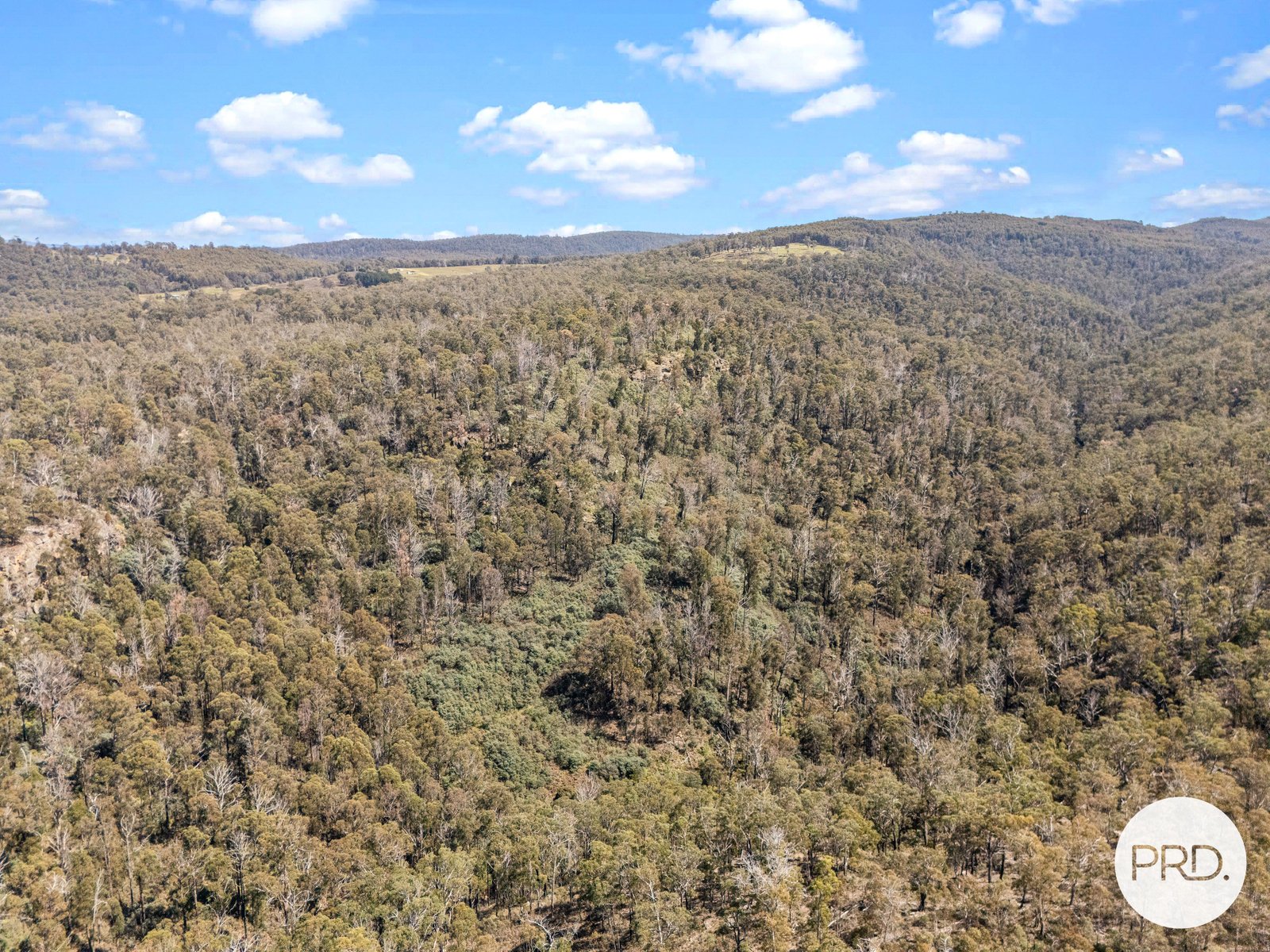  Pearces Road STRICKLAND 8