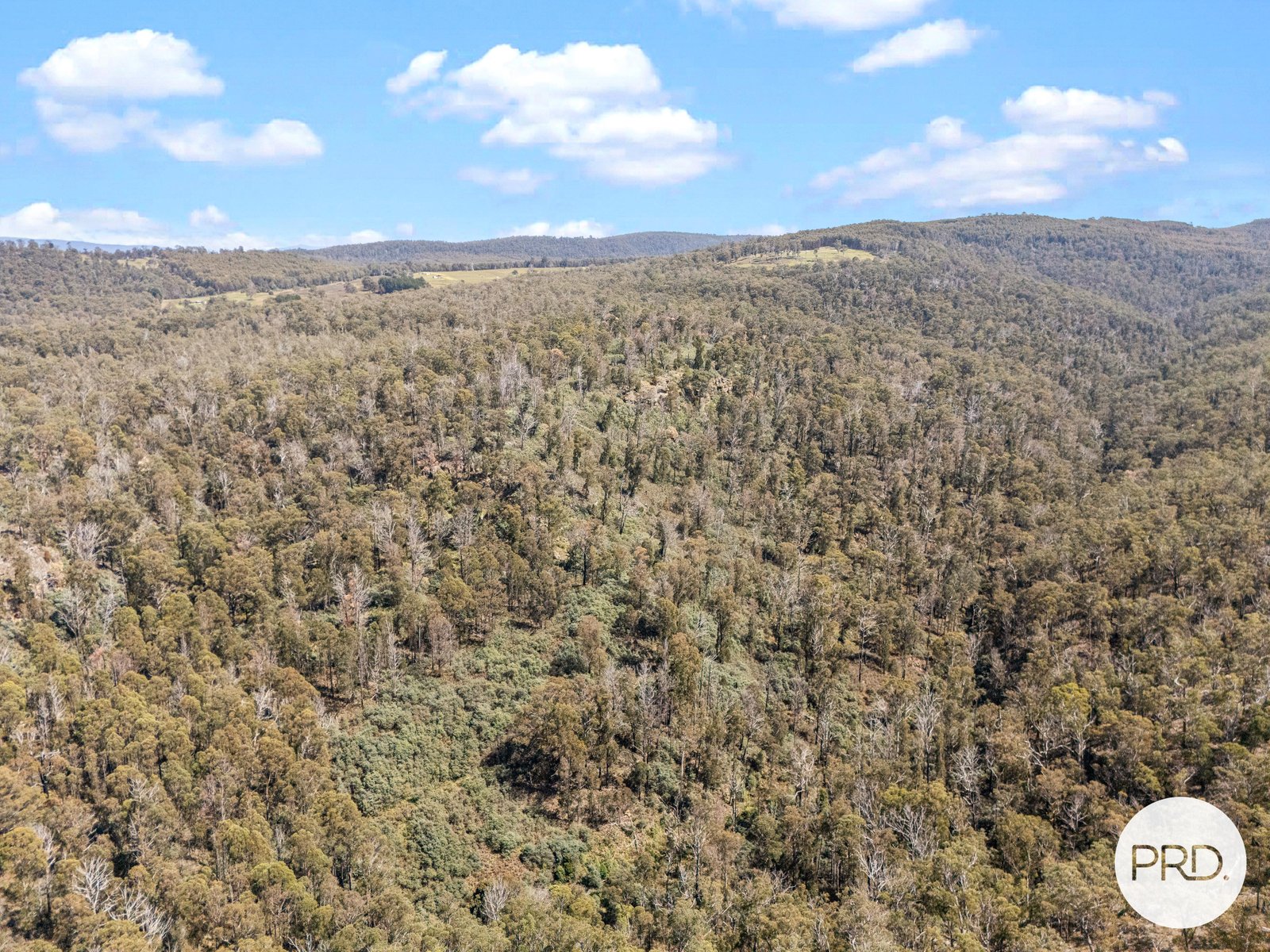  Pearces Road STRICKLAND 9