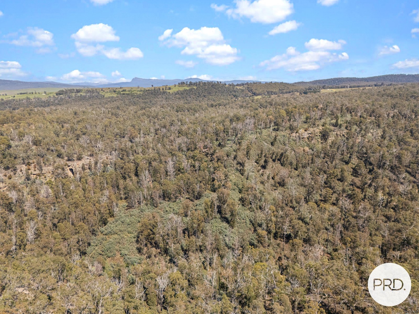  Pearces Road STRICKLAND 10