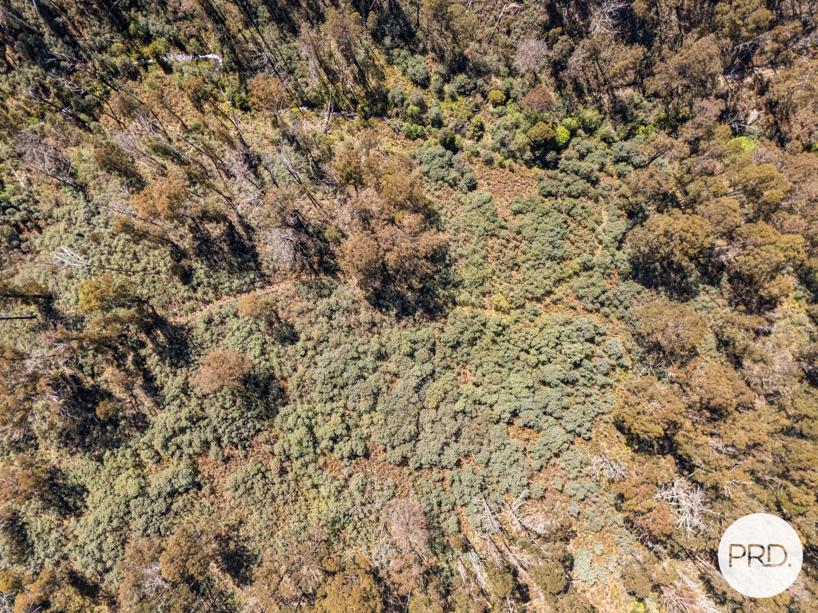  Pearces Road STRICKLAND 11