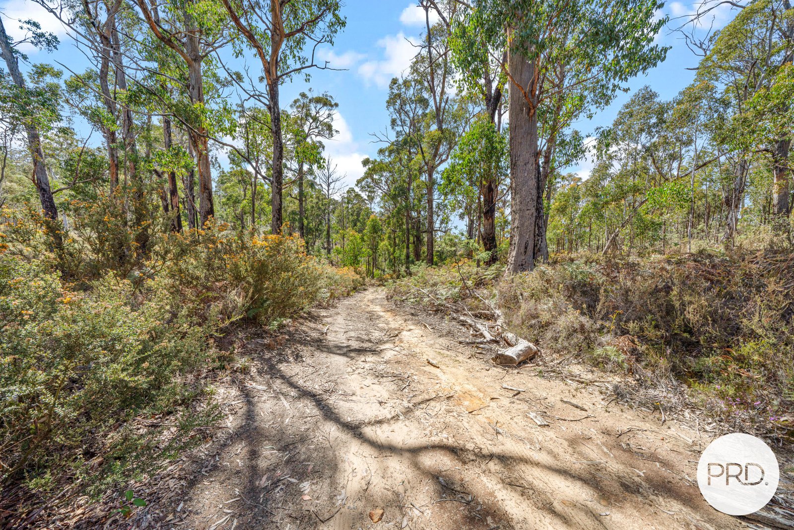  Pearces Road STRICKLAND 12