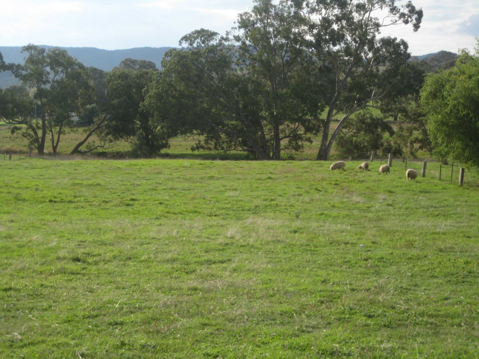 Lot 2 Pyrenees Highway AMPHITHEATRE 3