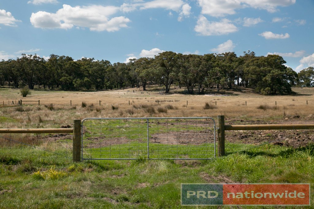 Lot 2 Scarsdale-Pitfield Road NEWTOWN 3