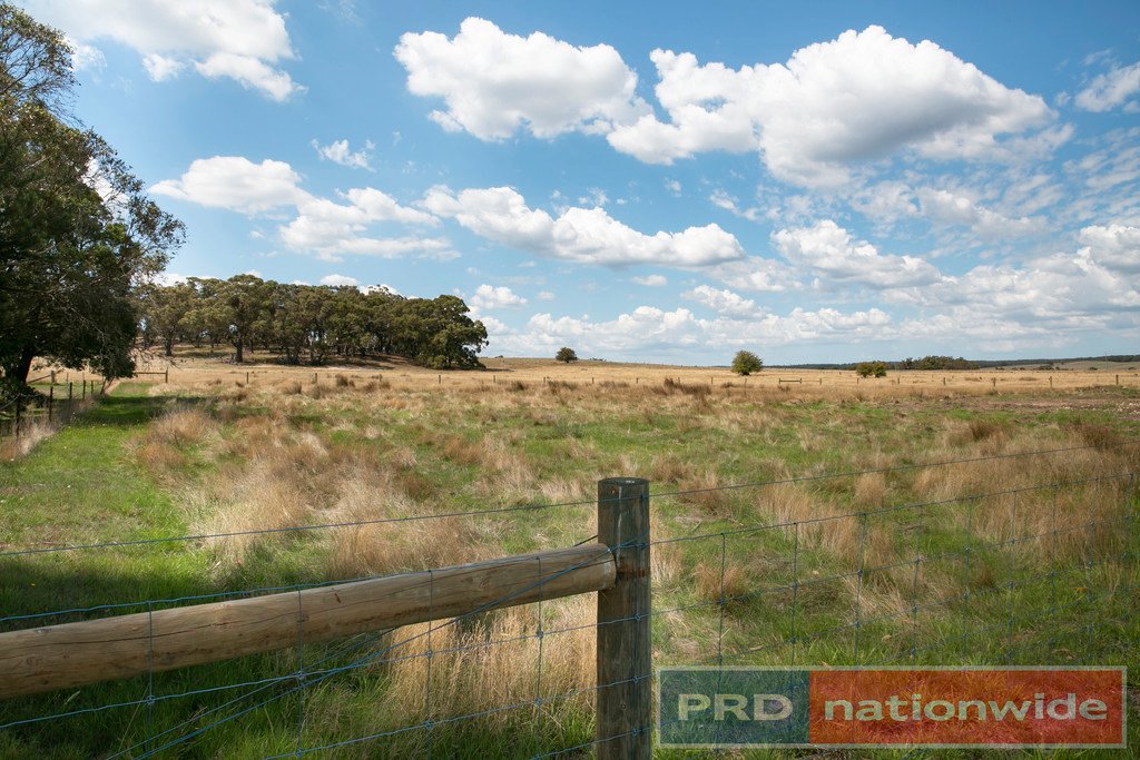 Lot 2 Scarsdale-Pitfield Road NEWTOWN 4