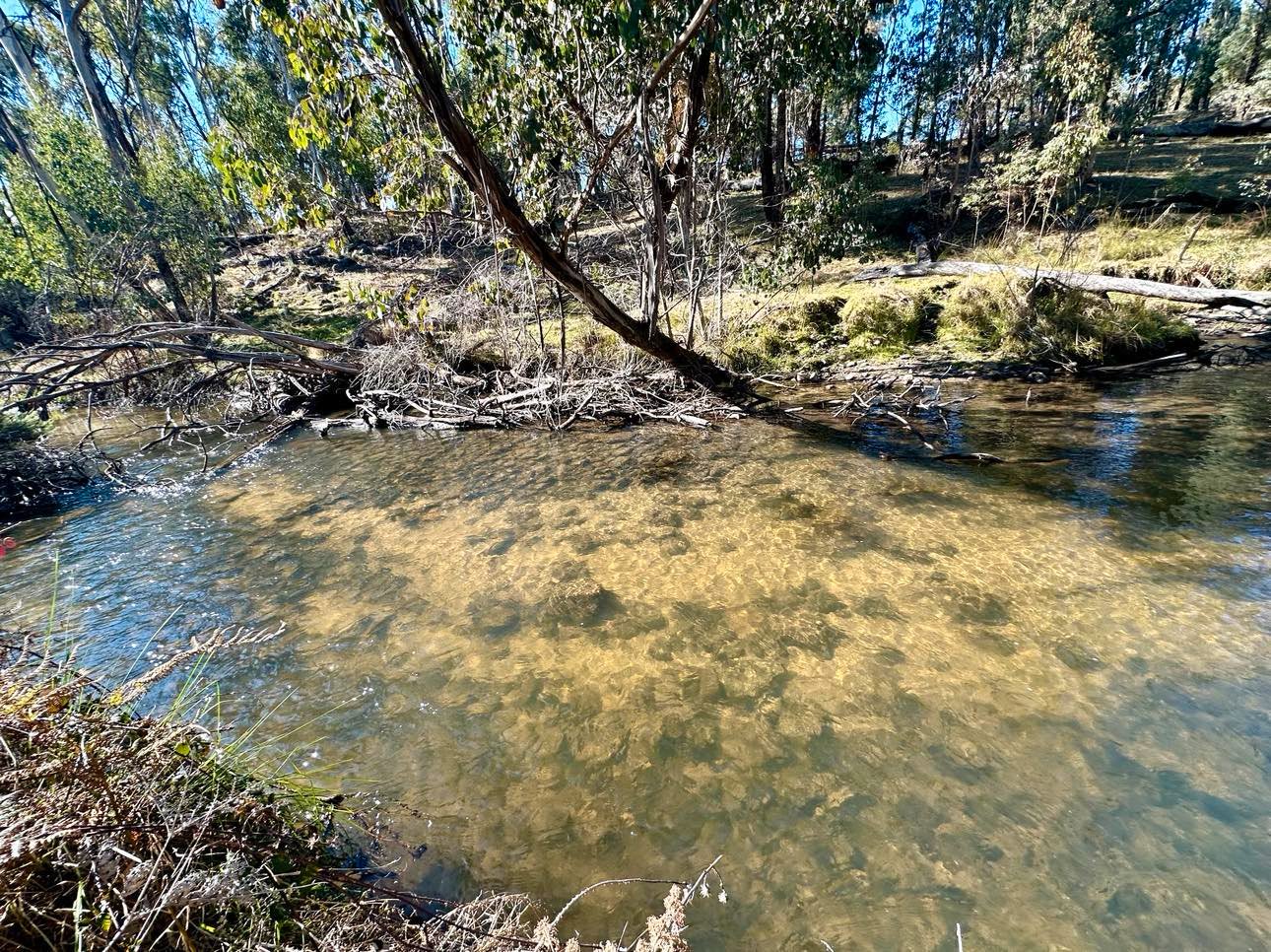 Lot 2 Tooma Road TUMBARUMBA 8