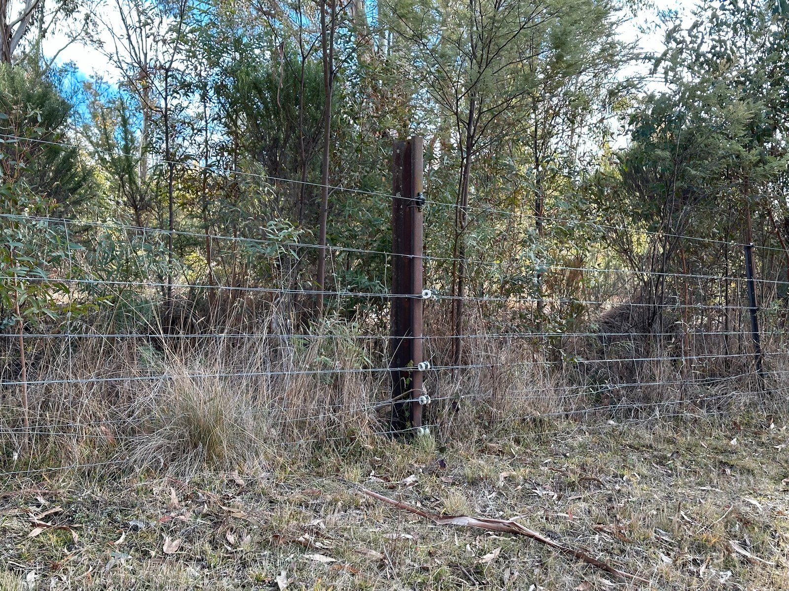 Lot 2 Tooma Road TUMBARUMBA 14