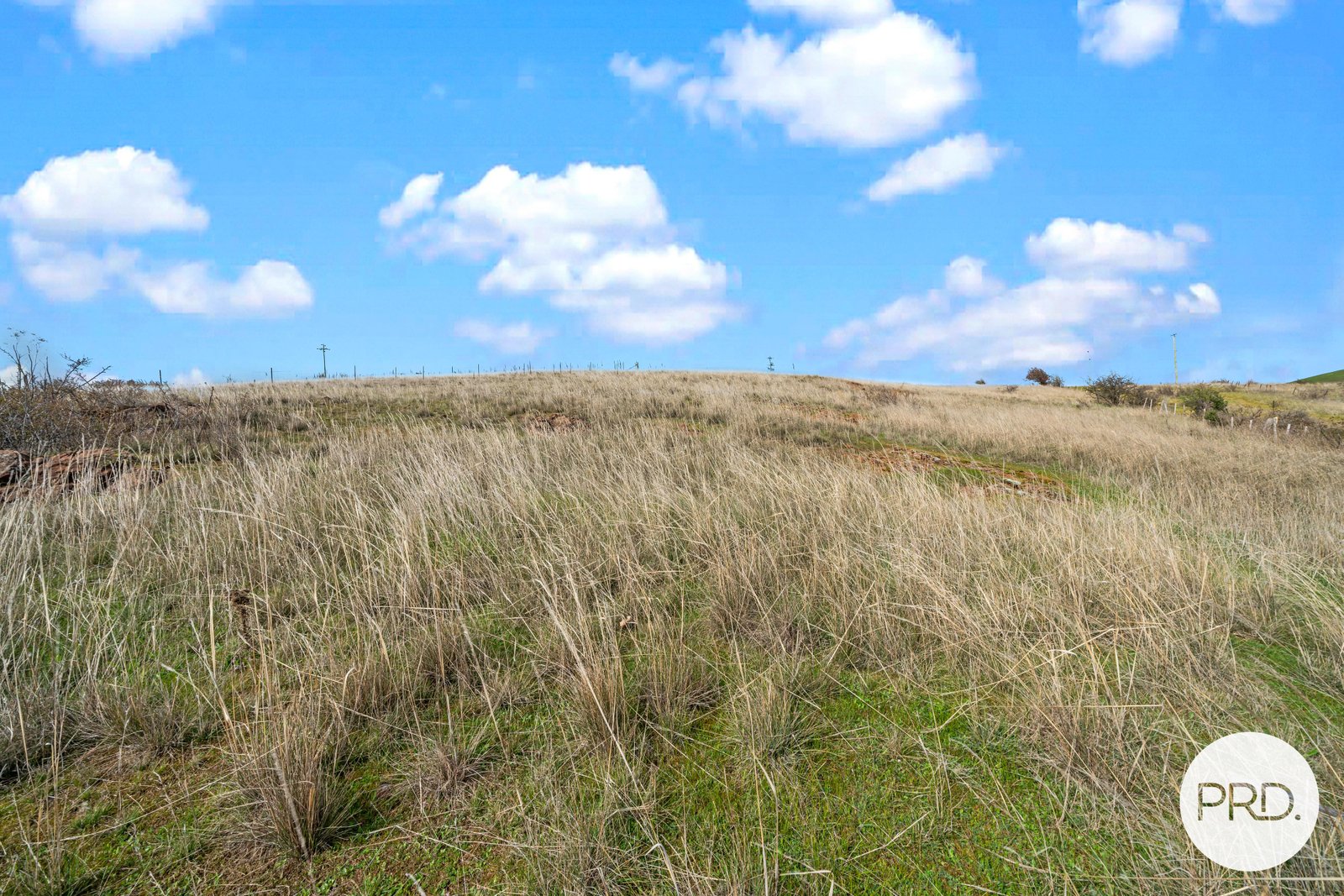  Upper Mill Road HAMILTON 14