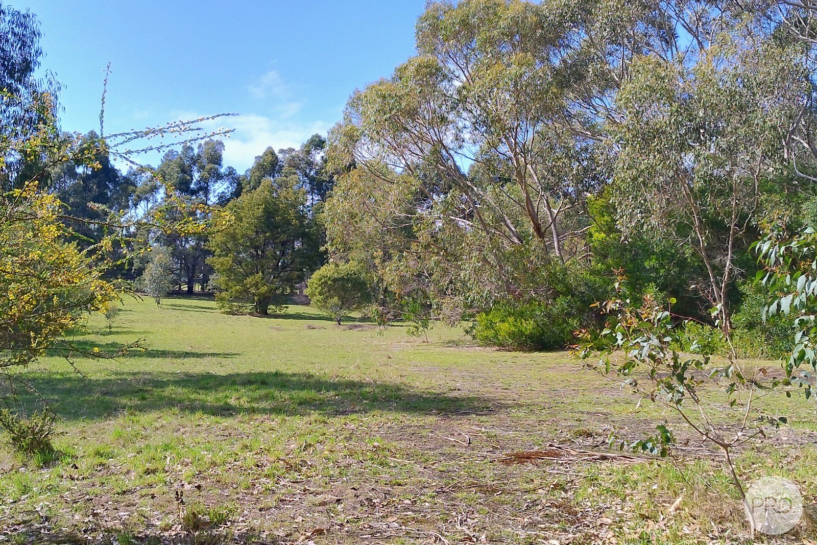 Lot 20 Tantaus Road DEREEL 2