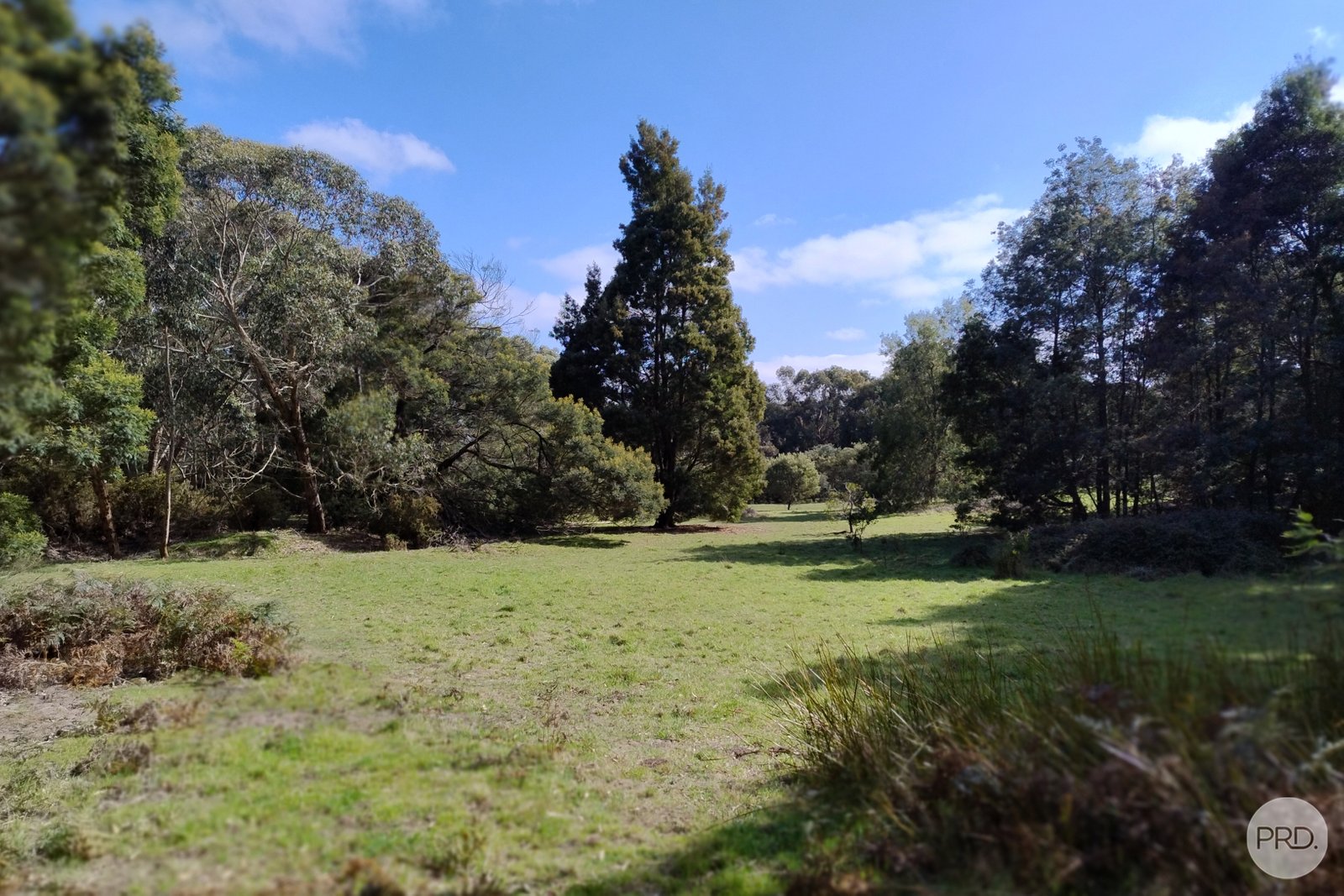 Lot 20 Tantaus Road DEREEL 3