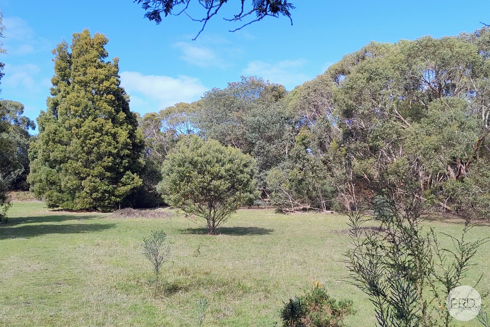 Lot 20 Tantaus Road DEREEL 5