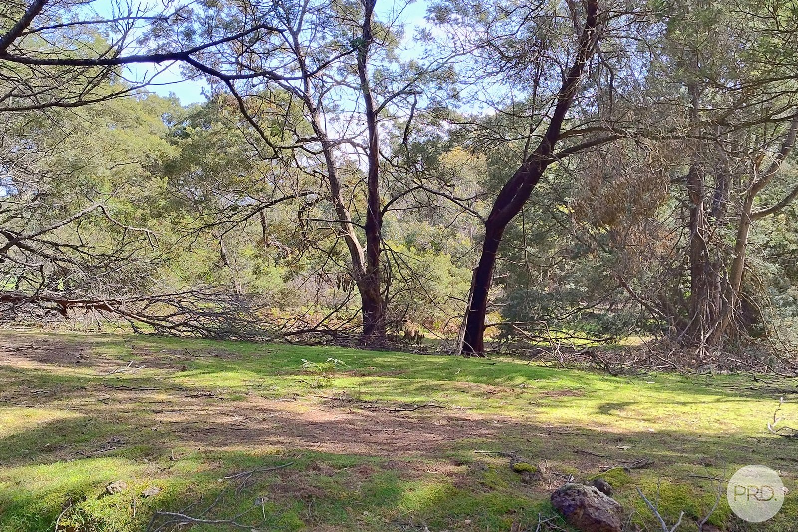 Lot 20 Tantaus Road DEREEL 6