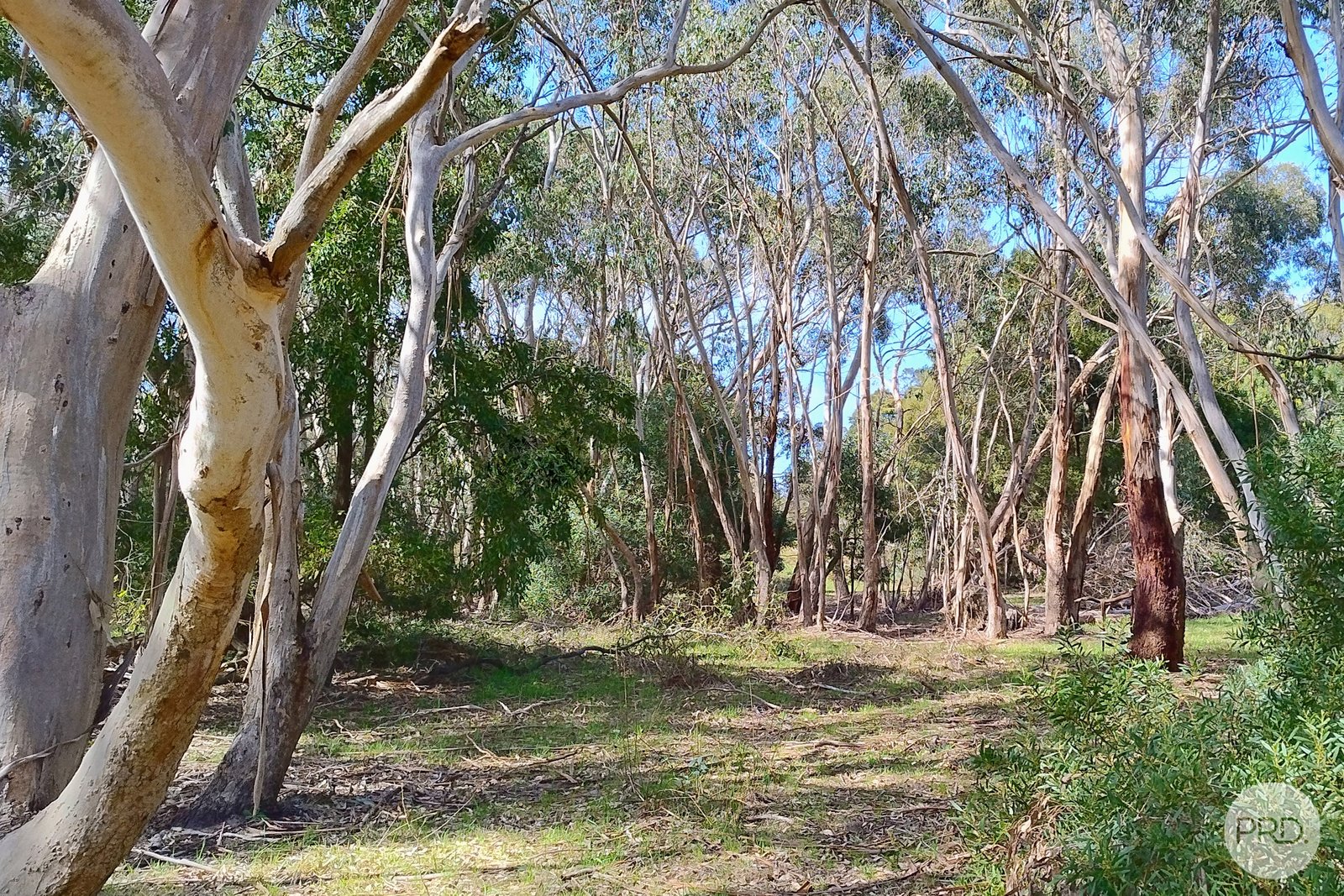 Lot 20 Tantaus Road DEREEL 7